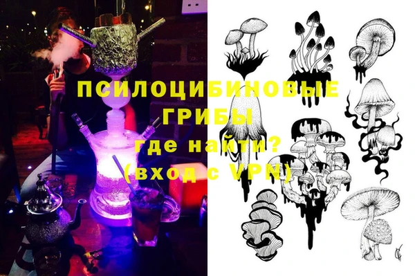 эйфоретик Балахна