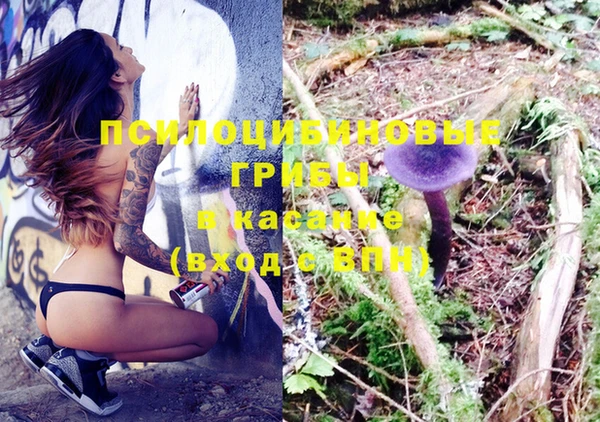 эйфоретик Балахна
